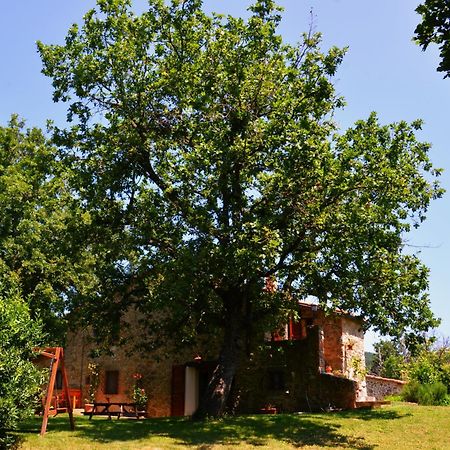 Il Venaio Bed & Breakfast Massa Marittima Exterior photo