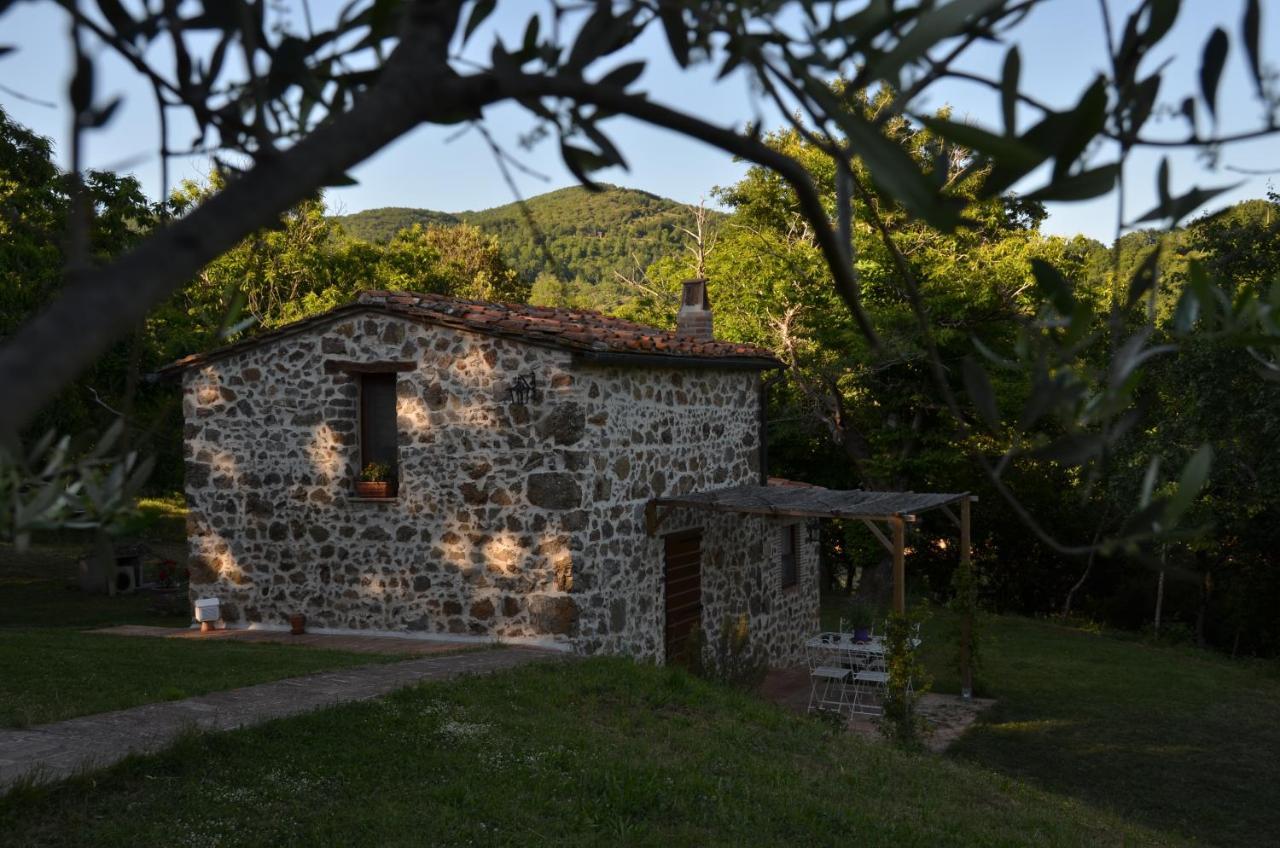 Il Venaio Bed & Breakfast Massa Marittima Exterior photo