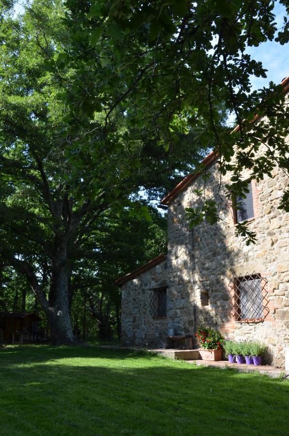 Il Venaio Bed & Breakfast Massa Marittima Exterior photo
