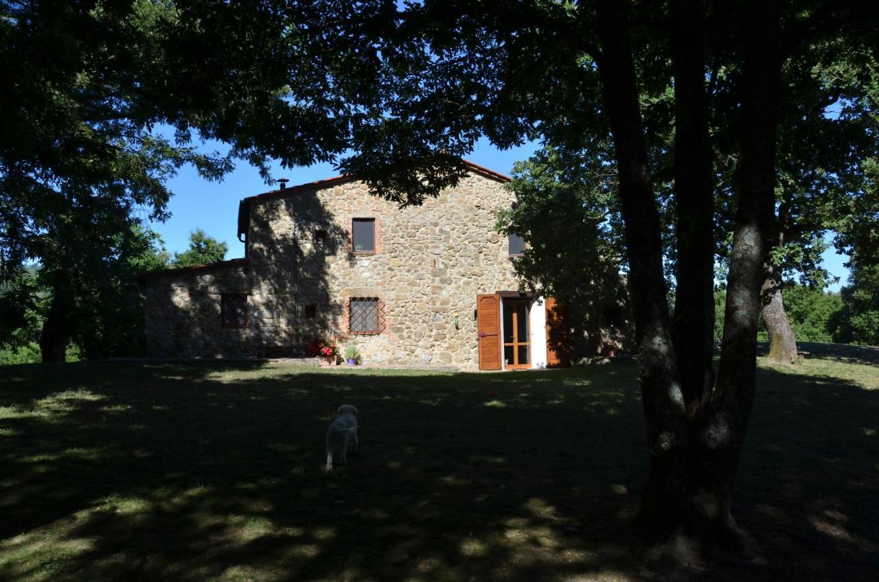 Il Venaio Bed & Breakfast Massa Marittima Exterior photo