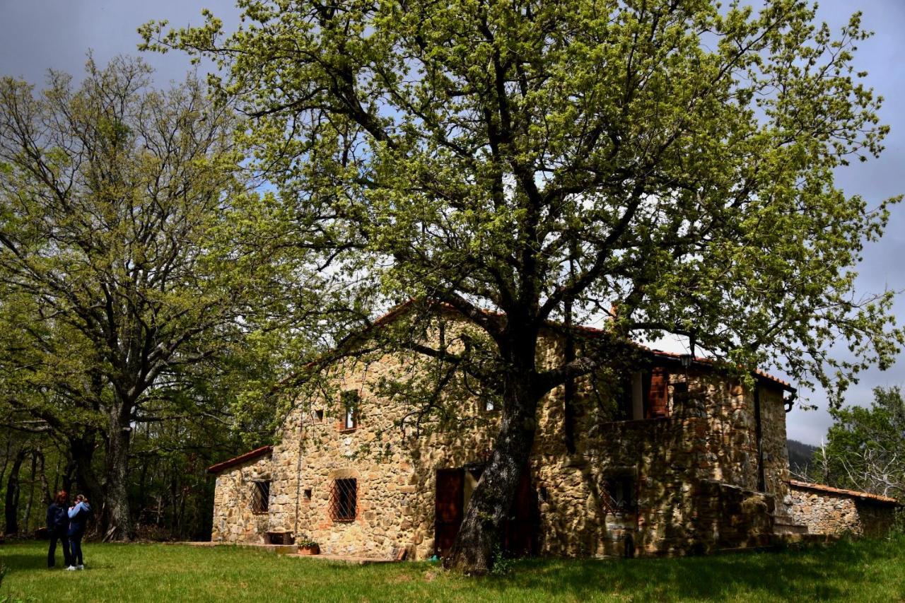 Il Venaio Bed & Breakfast Massa Marittima Exterior photo
