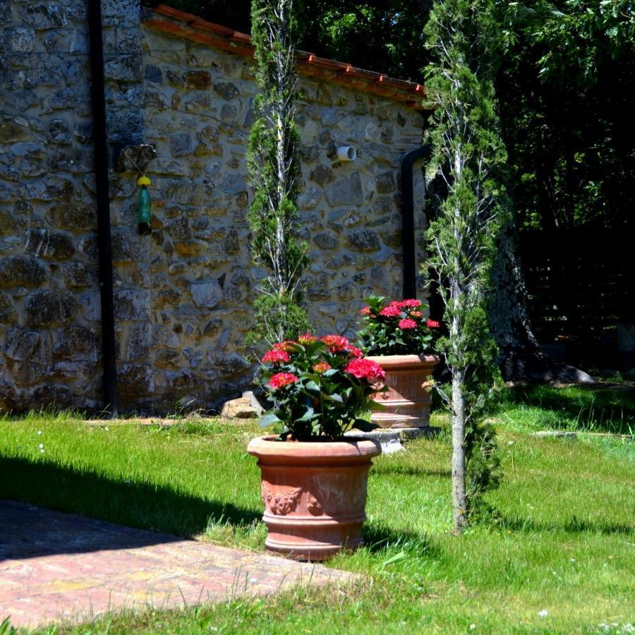 Il Venaio Bed & Breakfast Massa Marittima Exterior photo