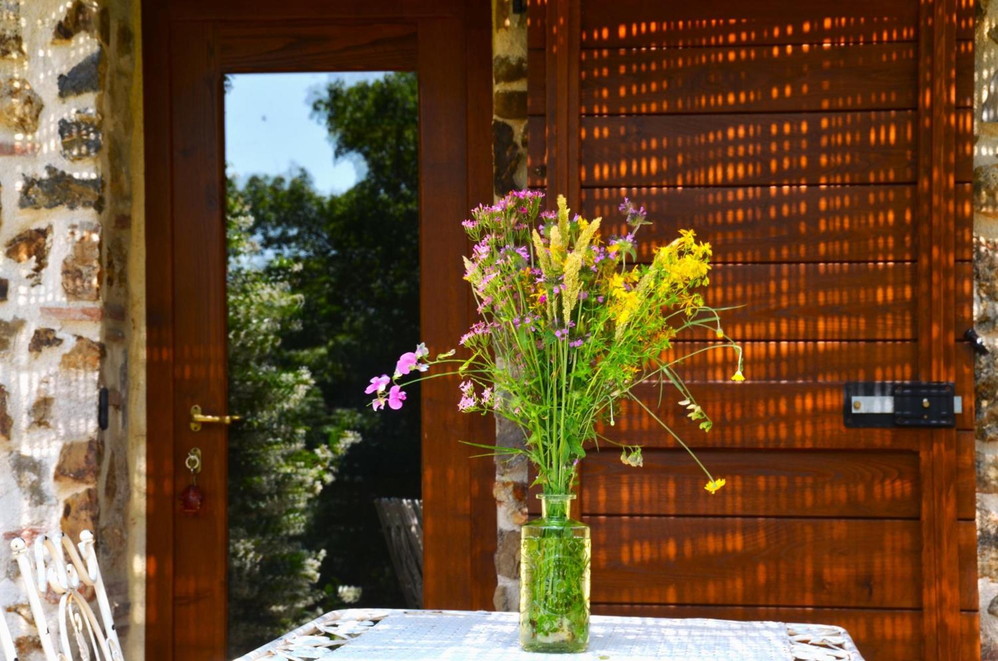 Il Venaio Bed & Breakfast Massa Marittima Exterior photo